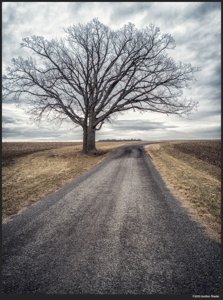 Winter Tree - Panasonic GH3 with Olympus 17mm f/1.8