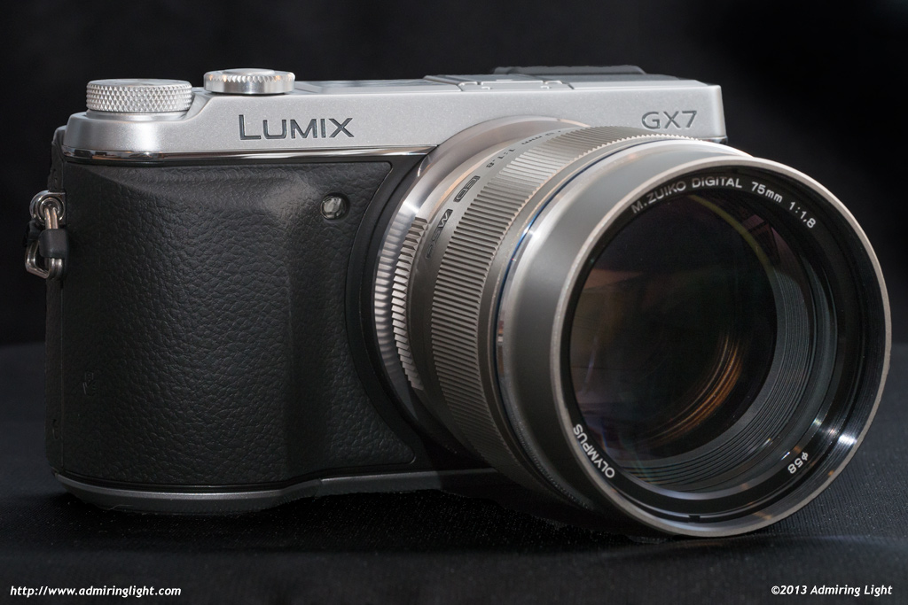 Afzonderlijk Verdeelstuk leef ermee Review: Panasonic Lumix DMC-GX7 - Admiring Light