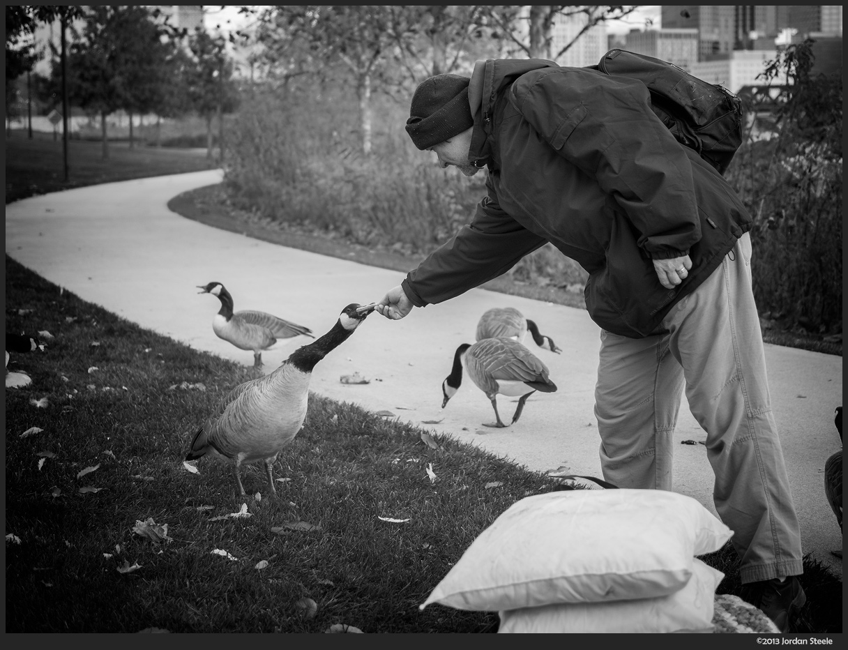 Feeding the Geese - Olympus OM-D E-M1 with Panasonic Leica 25mm f/1.4