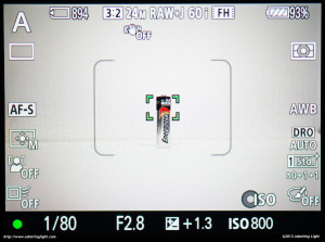 The Sony A7's View during focusing.  The area marked is the area of the sensor with phase detection capabilities