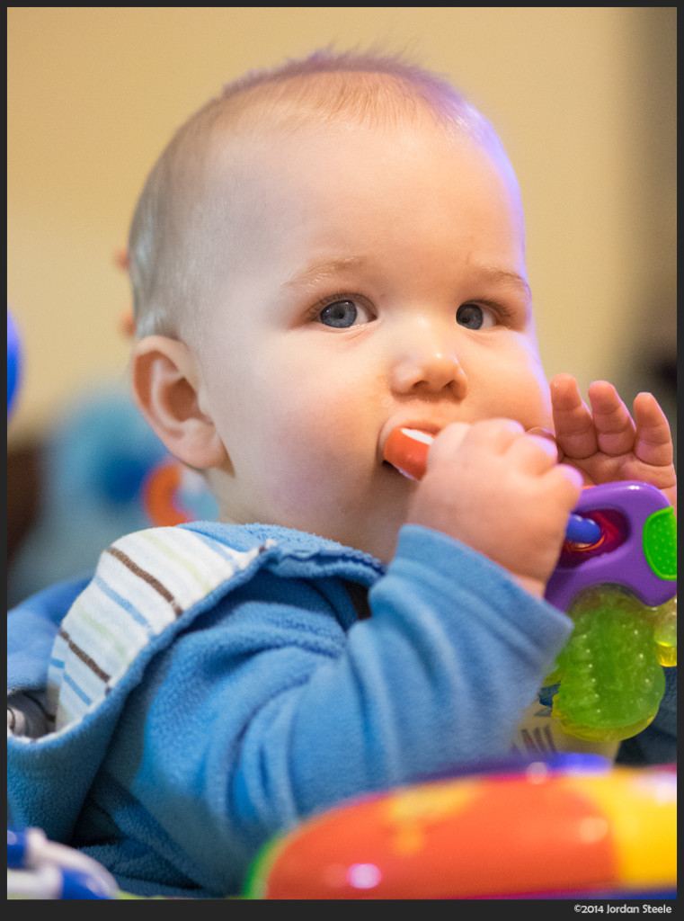 Chomp - Panasonic DMC-GM1 with Olympus 75mm f/1.8 @ ISO 3200