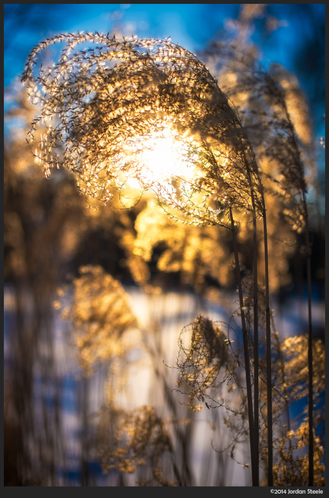 Sunset - Fujifilm X-M1 with Zeiss Touit 32mm f/1.8 Planar T* @ f/2.2