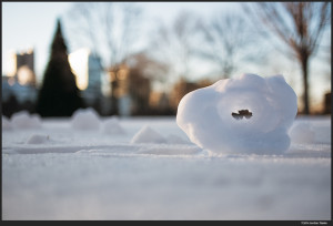 Snow Roller - Fujifilm X-E2 with Zeiss Touit 32mm f/1.8 Planar T* @ f/1.8