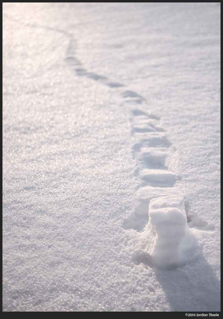Trail of the Snow Roller - Fujifilm X-M1 with Zeiss Touit 32mm f/1.8 Planar T* @ f/1.8