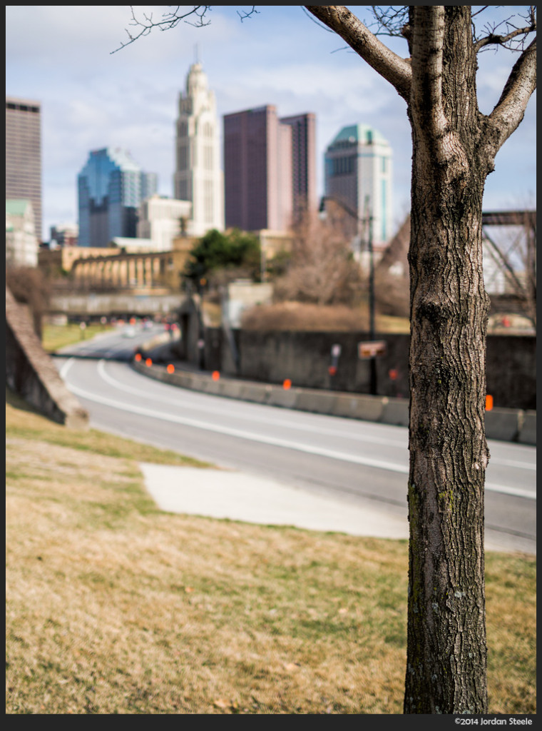 Tree, Columbus, OH - Olympus OM-D E-M5 with Olympus 25mm f/1.8 @ f/1.8