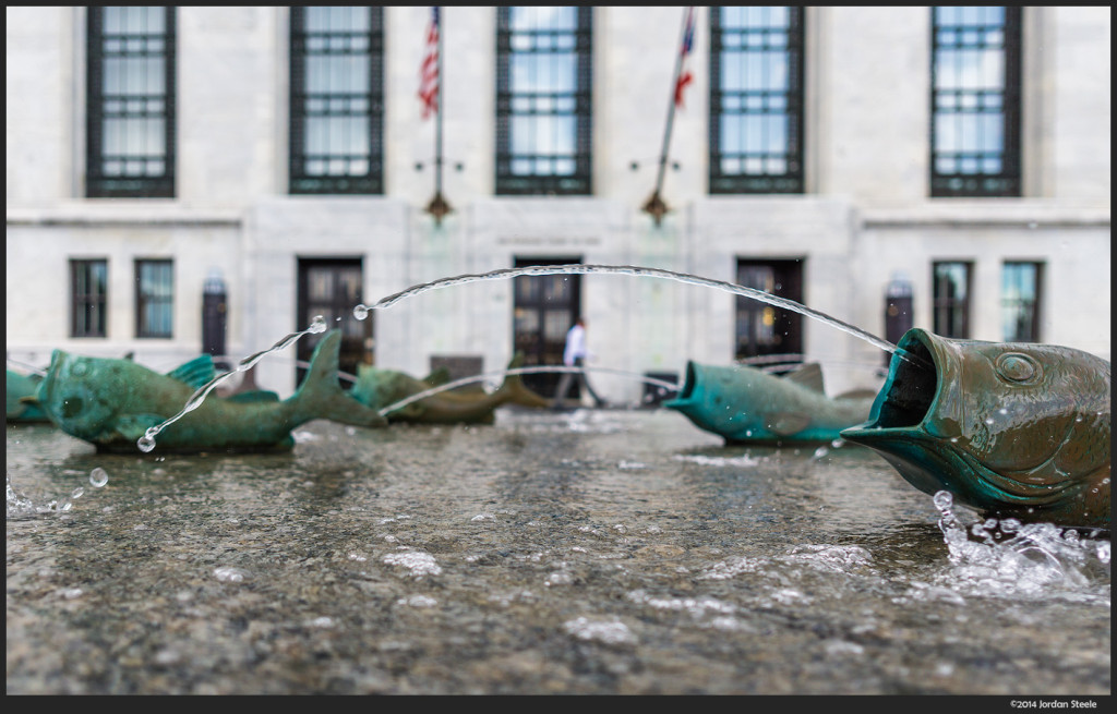 Fishy Arch - Sony a6000 with Sigma 19mm f/2.8 @ f/2.8