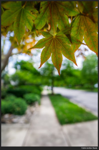 Buckeye Sidewalk - Sony a6000 with Rokinon 12mm f/2.0 @ f/2.0