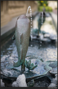Fish Fountain - Sony a6000 with Ibelux 40mm f/0.85 @ f/1.4