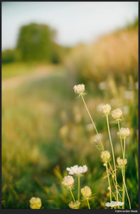 Weeds by the Path - Sony NEX-6 with Ibelux 40mm f/0.85 @ f/0.85