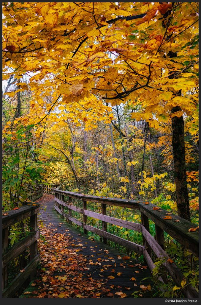 Autumn Path - Sony a6000 with Sigma 19mm f/2.8 DN Art @ f/2.8