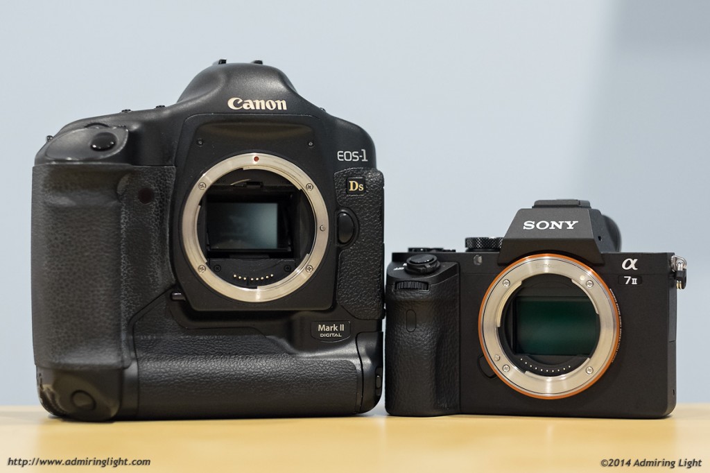Will mirrorless supplant DSLRs?  Yes...but not yet.