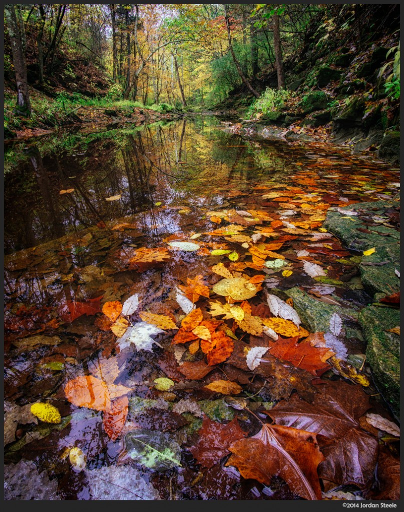 Autumn Stream - Sony a6000 with Rokinon 12mm f/2 @ f/16, 2.5s, ISO 100