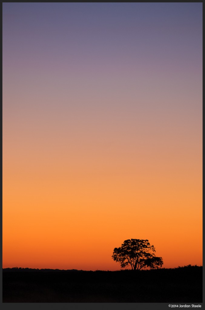 Tree at Sunrise - Fujifilm X-T1 with Fujinon XF 55-200mm f/3.5-4.8 @ 141mm, f/5, 1/25s, ISO 800