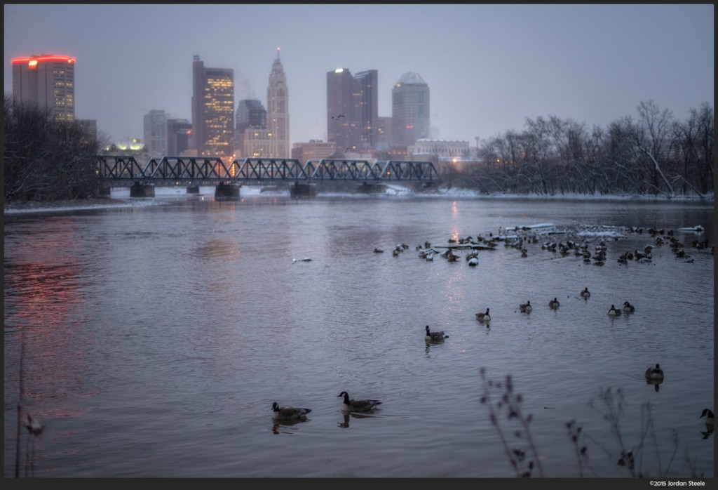 Geese in the Cold Morning - Sony A7II with Canon FD 50mm f/1.4 @ f/1.4, 1/50s, ISO 640