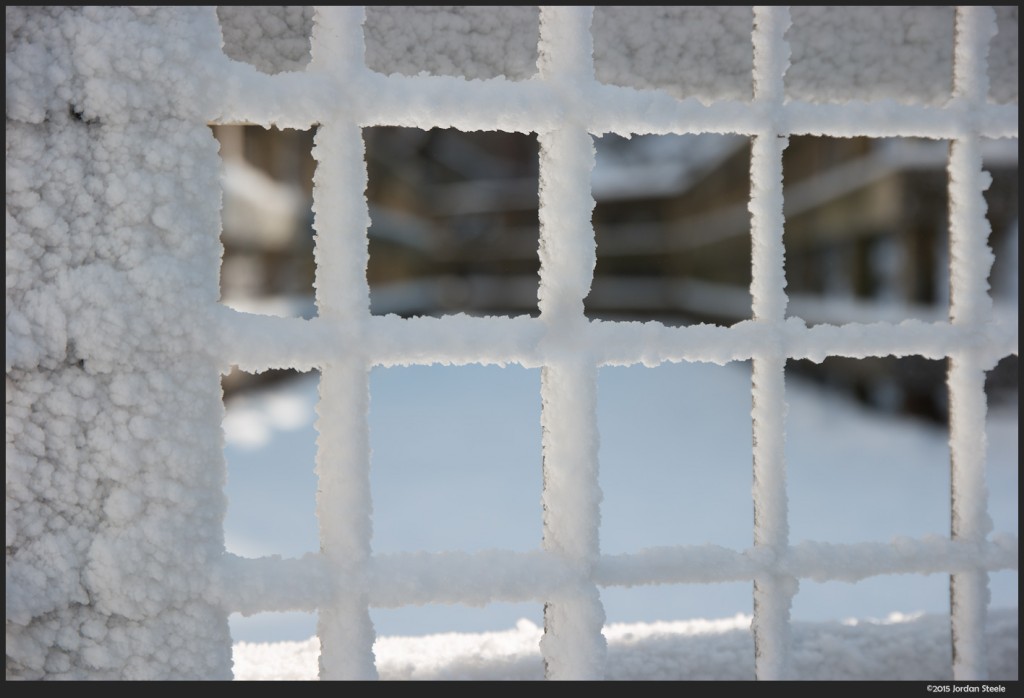 Icy Fence - Samsung NX1 with Samsung 16-50mm f/2-2.8 S ED OIS @ 50mm, f/2.8