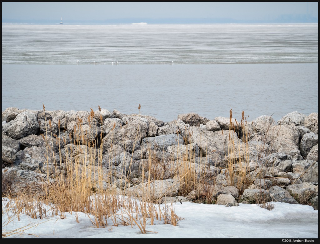 Erie Shore - Olympus OM-D E-M5 Mark II with Olympus 75-300mm f/4.8-6.7 II @ 132mm, f/5.5, 1/1000s, ISO 200