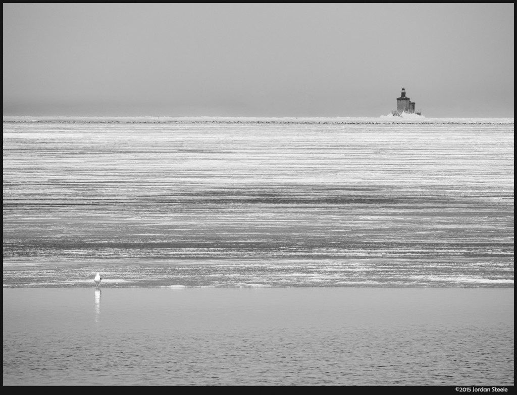 Seagull and Toledo Harbor Light - Olympus OM-D E-M5 Mark II with Olympus 75-300mm f/4.8-6.7 II @ 300mm, f/9, 1/800s, ISO 400