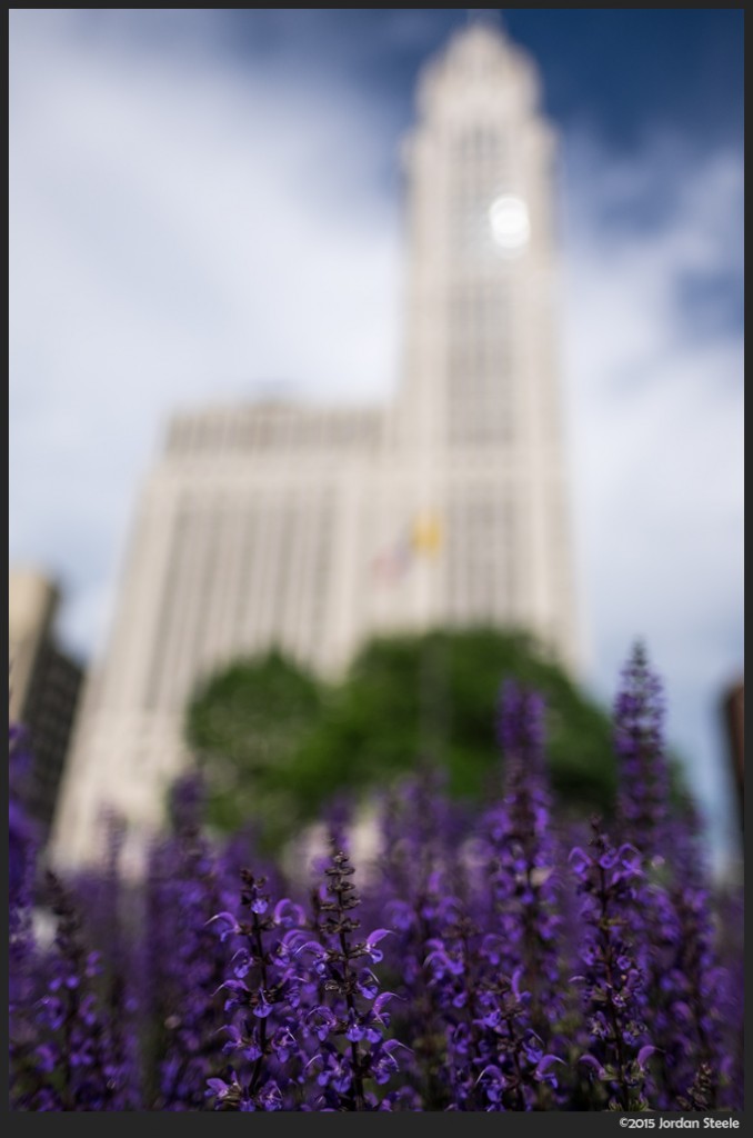 Flowers below the LeVeque Tower - Fujifilm X-T1 with Fujinon XF 16mm f/1.4 @ f/1.4