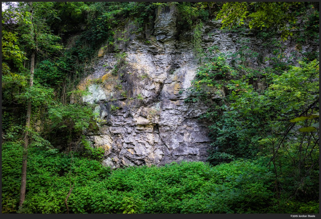 Green Wall - Sony A7 II with Zeiss Loxia 35mm f/2 @ f/8