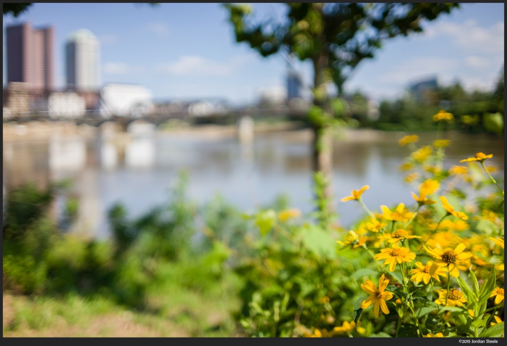 Yellow - Sony A7 II with Zeiss Loxia 35mm f/2 @ f/2