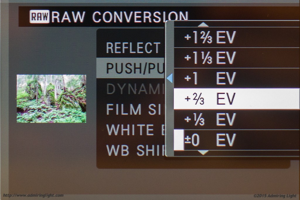 Fuji's excellent in-camera RAW conversion