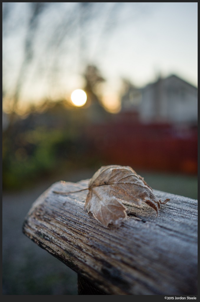 First Frost - Sony A7 II with Zeiss Batis 25mm f/2 Distagon @ f/2