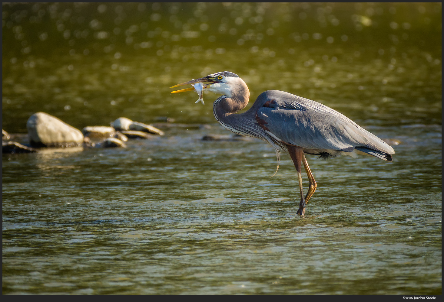 Review Panasonic Leica 100 400mm F 4 6 3 Dg Vario Elmar Ois Page 3 Of 3 Admiring Light