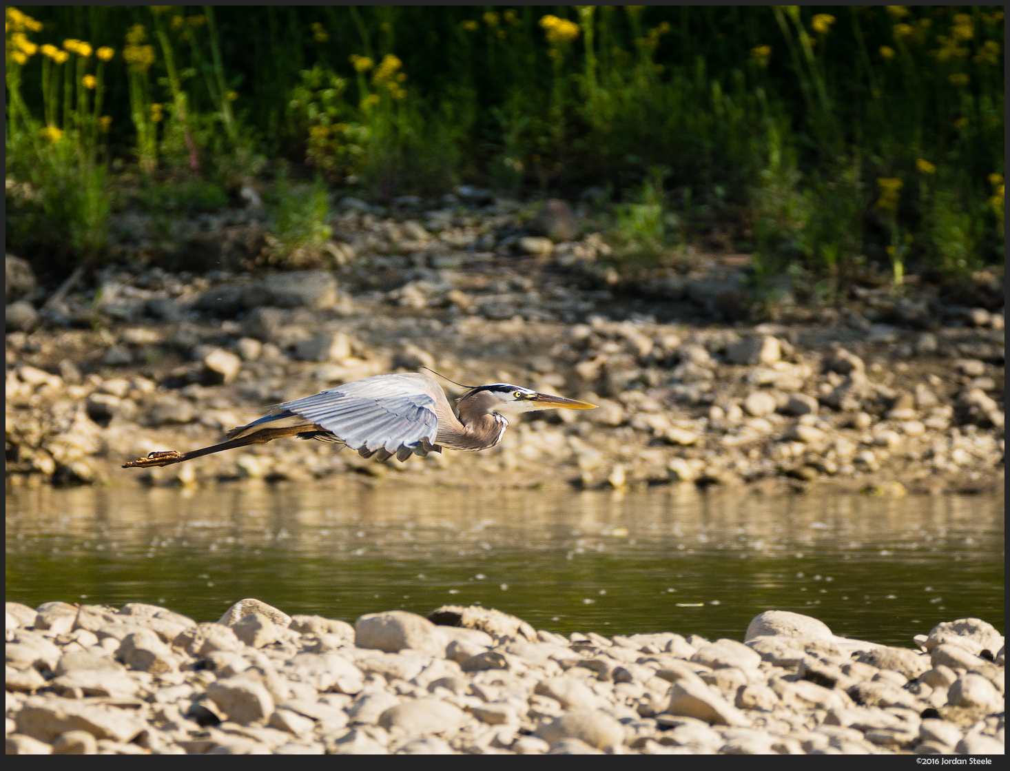 Review Panasonic Leica 100 400mm F 4 6 3 Dg Vario Elmar Ois Admiring Light