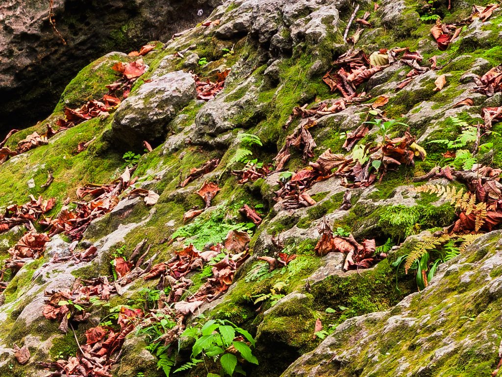 Review: Canon RF 24-105mm f/4L IS USM - Page 2 of 3